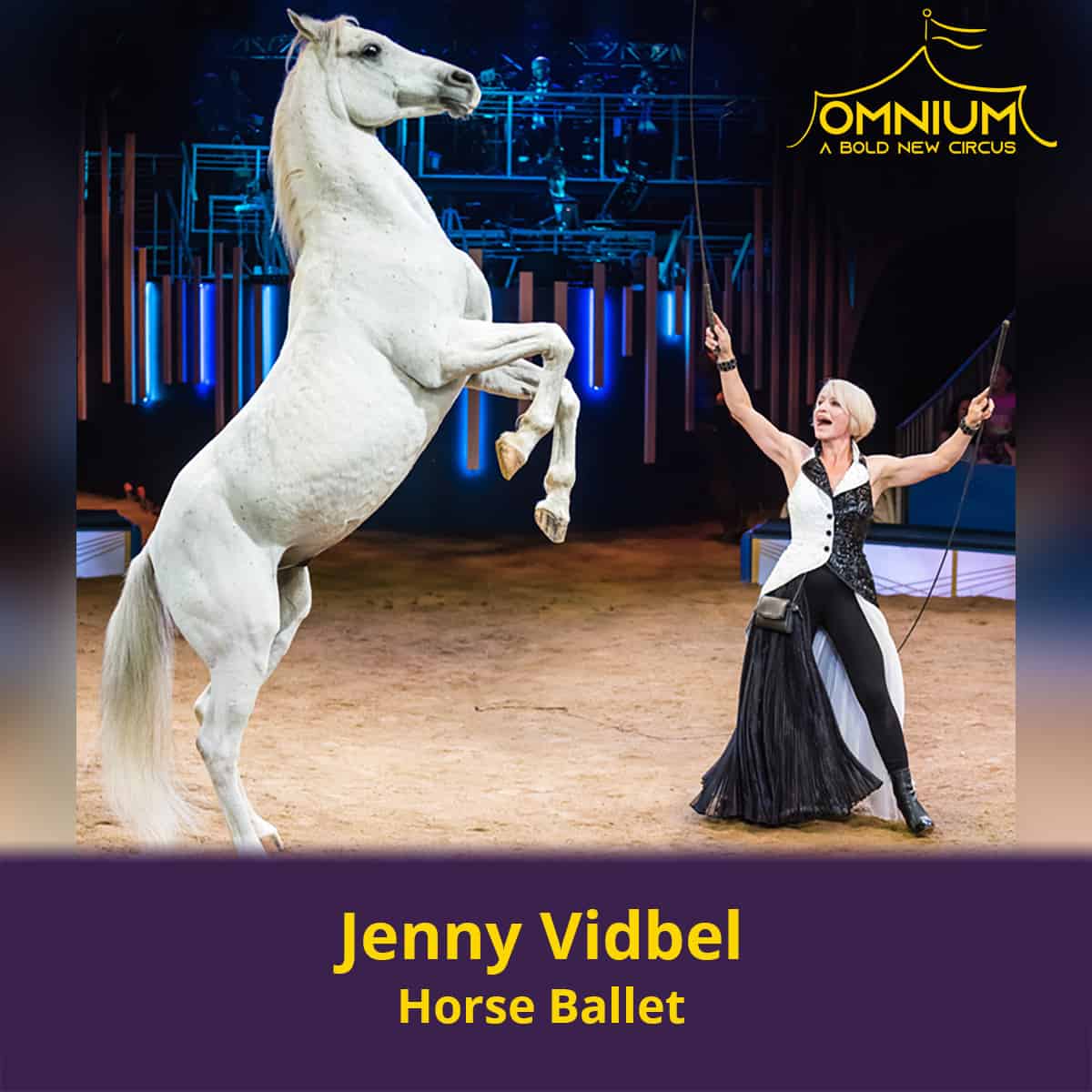 Omnium Performer - Horse Ballet Jenny Vidbel