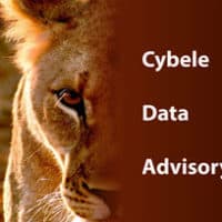 Cybele Data Advisory