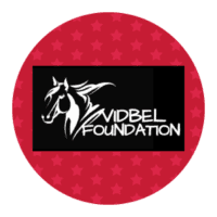 Vidbel Foundation Logo