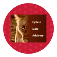 cybele data advisory logo