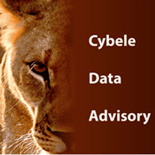 Cybele Data Advisory Logo