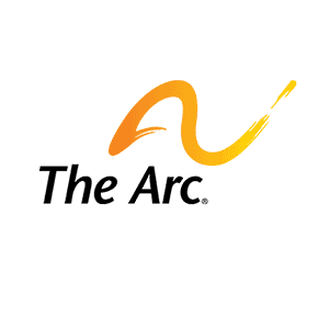 Graphic: "The Arc" in black with yellow squiggle above