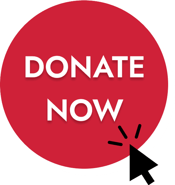 "Donate Now" button with cursor